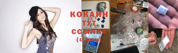 мет Гусев
