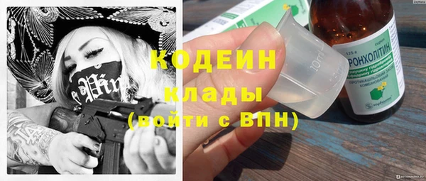 ешки Гусь-Хрустальный