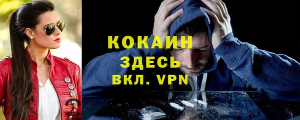 ешки Гусь-Хрустальный