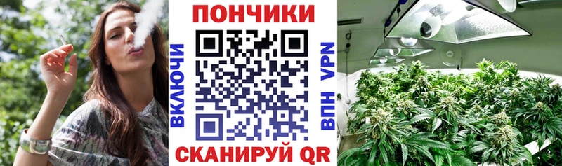 Марихуана семена Купить где Арск